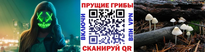 Псилоцибиновые грибы GOLDEN TEACHER Каспийск