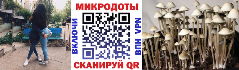 даркнет сайт  Каспийск  Галлюциногенные грибы MAGIC MUSHROOMS 