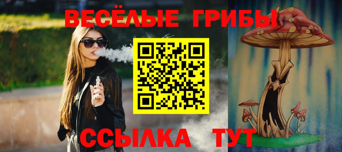 Псилоцибиновые грибы мицелий Каспийск