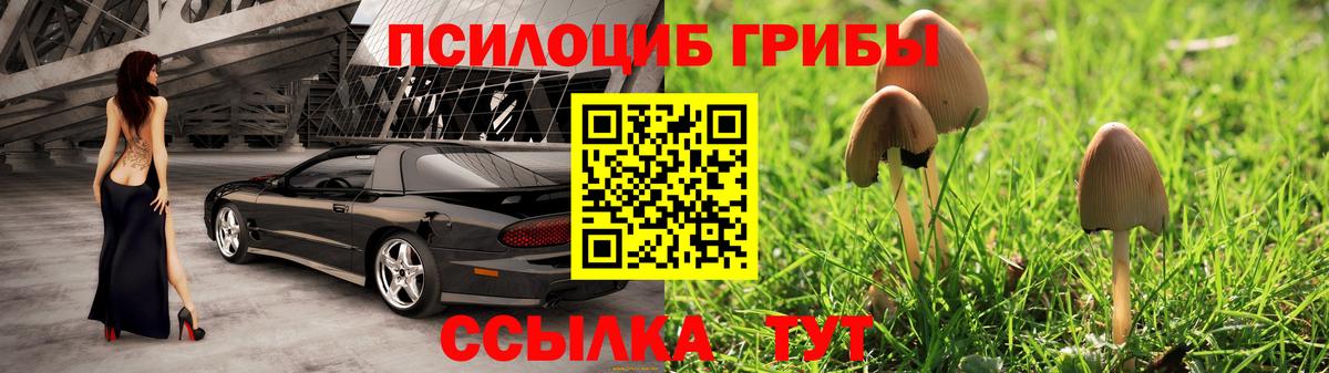 Галлюциногенные грибы Magic Shrooms  Вход с VPN  Каспийск 